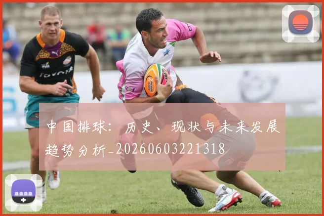 中国排球：历史、现状与未来发展趋势分析_20260603221318