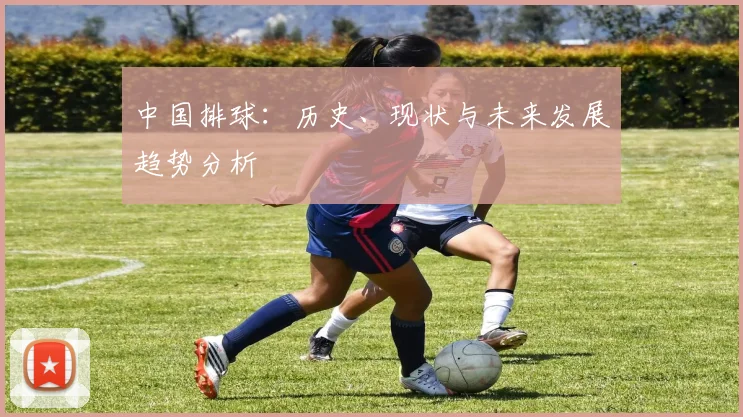 中国排球：历史、现状与未来发展趋势分析